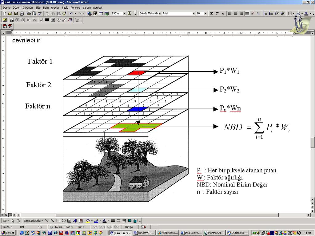 2005) CBS raster teknikleri kullanılarak her bir değer faktörü için
