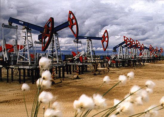 Türkiye de Petrol (2005) ÜretilebilirÜ petrol rezervimiz 41.4 milyon ton dur. (2005) Yurtiçi üretimi 2.2 milyon ton dur.