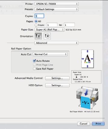 XXXX (Roll Paper - Borderless (Auto Expand)) XXXX (Roll Paper - Borderless (Retain Size)) XXXX (Sheet - Borderless (Auto Expand)) XXXX (Sheet - Borderless (Retain Size)) Burada XXXX, A4 gibi gerçek