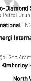 İğne Kok Üretimi ve Satışı (Güney Kore) / Doğal Gaz Üretimi Vene ezuela Orinoc oco o Ağır Yakıt Geliştirme (Venezuela) Petrol az Arama (Fildişi Sahili) Petro-Diamond Singapore (Pte) Ltd Ham Petrol ve