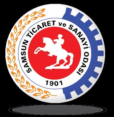 No: 2013/1 SAMSUN