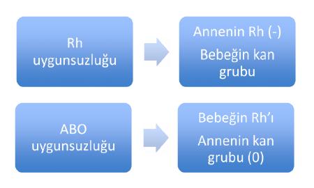 Taze yeniden yapılandırılmış tam kan: 3 günden yeni ES+uygun TDP ( yenidoğanın kalp cerrahisi,