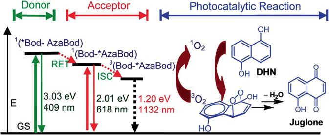 Resonance Energy Transfer-Enhanced Rhodamine Styryl Bodipy Dyad And Bodipy Triads Triplet Photosensitizers FOTONİK 04 6.