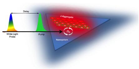 Probing Ultrafast Energy Transfer Between Excitons And Plasmons In The Ultrastrong Coupling Regime Elif Akhüseyin, Sinan Balci, Coşkun Kocabas 3, Betül Küçüköz, Ahmet Karatay, H.