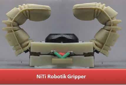 Engeberg ile birlikte aldıkları patentte sualtı robot sistemlerde kullanılabilecek iki ayrı mekatronik gripper prototipi geliştirmiştir.