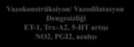 Vazodilatasyon Dengesizliği ET-1, Trx-A2, 5-HT artışı NO2, PGI2, azalışı Büyüme faktörleri VEGF,