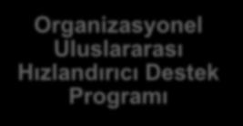 Uluslararası Hızlandırıcı Destek Programı ULUSLARARASI HIZLANDIRICI DESTEK PROGRAMI Bireysel Uluslararası Hızlandırıcı Destek Programı İŞLETME program kapsamında destek alabilmek için öncelikle