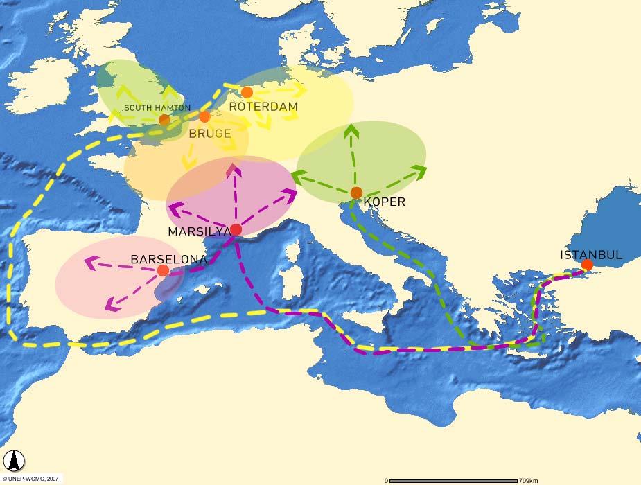 Filo da bulunan Neptune Aegli ve Neptune Dynamis 1500, Neptune Thelisis ve Neptune Okeanis 1830 otomobil kapasiteli gemileridir. Diğerleri 500 900 gibi küçük kapasiteli gemilerdir.