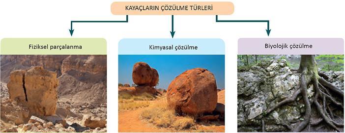 Toprağın Hikâyesi (Toprak Oluşumu) Toprak, yer kabuğunu oluşturan kayaçların ayrışması ve ufalanması ile oluşmuş; içinde çeşitli mineraller, canlı organizmalar, organik maddeler, hava ve su bulunan