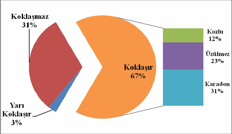 6.3 Kömür Rezervleri Türkiye de kömür rezervleri ile ilgili olarak son y llara kadar koordine bir çal şma yap lmam şt r.