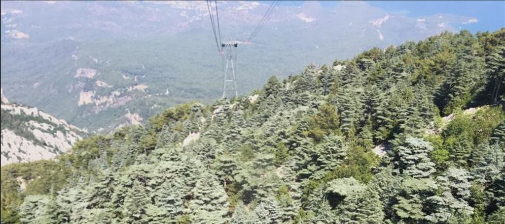 Antik Dönem öncesi Anadolu peyzajında bazı önemli değişimler Fırat ın kuzeyi ve Çatalhöyük çevresinde yaşlı Meşe