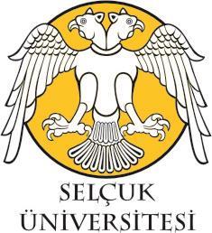 Selçuk GÜROL YÜKSEK LİSANS TEZİ Mimarlık