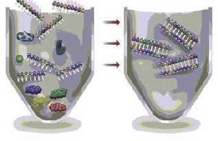 Multipleks PCR Nested/seminested PCR Broad-range PCR