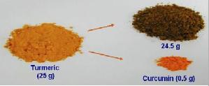 Zerdeçalı ekstrakte ettikten sonra içindekilerin şunlar olduğu ortaya çıkmıştır. Curcumin % 4.5 Yağ % 9 Resin % 3 Lif % 5.1 Protein % 10.