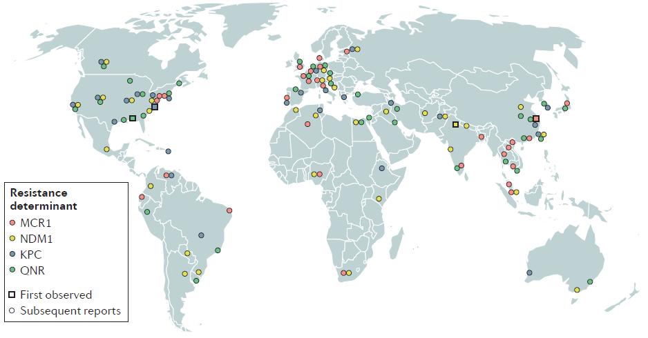 Global spread of plasmid-borne