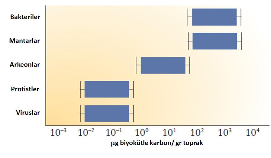 dağıldığının tahmini haritası Toplam toprak mikrobiyal