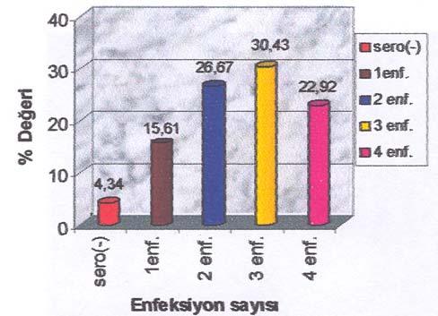 67) adeti iki virusa karşı, 154 (%30.43) adeti üç virusa karşı, 116 (%22.92) adeti ise dört virusa karşı pozitif olarak tespit edildi.