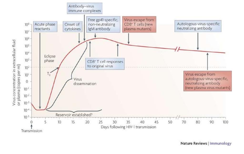 HIV VİRÜSÜNE