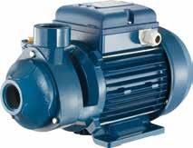 Peripheral positive displacement pumps with frontal pumps for small household systems and simple industrial applications; characterised by a considerable ratio between performance and required output.