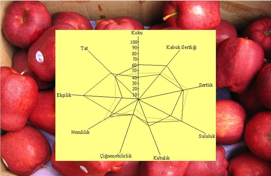 Üç Farklı elma örneğinde doku profili Modifiye Doku Profili Analizi Doku profili analizinde modifikasyonlar yapılarak farklı kalite özellikleri değerlendirilebilmektedir.