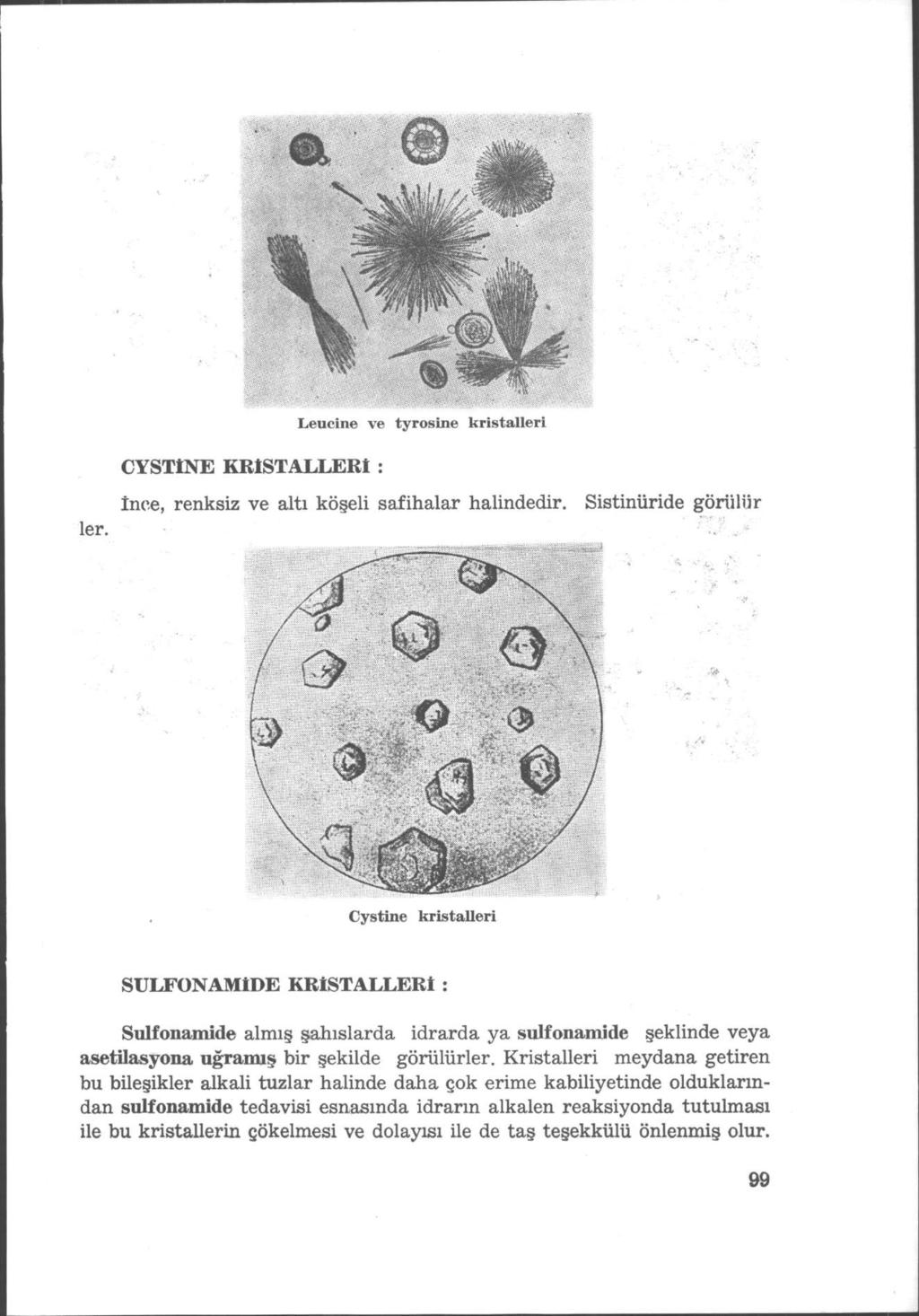 Leucine ve tyrosine kristalleri CYSTİNE KRİSTALLERİ : İnce, renksiz ve altı köşeli safihalar halindedir.