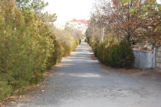 Mezarlık içinde belirgin eğimler ve kademeler mevcut değildir. EriĢim Taşlıbel Mezarlığı, kentin içerisinde bulunduğu konum itibariyle kolay ve hızlı ulaşım sağlanabilen bir mezarlıktır.