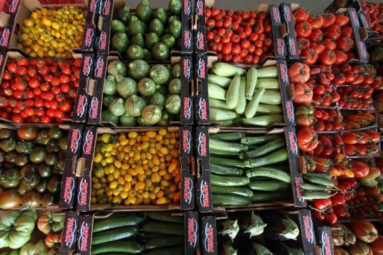 Kooperatifin market zincirleriyle anlaşma yapmasından sonra ürünlerini çeşitlendirme ihtiyacı doğmuş olup, özellikle domates, salatalık ve kabak türlerini çeşitlendirerek, 50 ye yakın meyve ve sebze