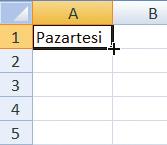 b. Standart hata iletileri: Çalışma sayfamızda hücrelere girilen formüllerde hata varsa aşağıdaki iletiler gelir: #SAYI/0! #AD! #DEĞER! #REF! #YOK! #SAYI! #BOŞ! #BAŞV!