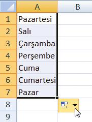 : Genellikle matematiksel bir formül oluşturulurken sayısal olmayan bilgilerin bulunduğu hücrelerin adresleri kullanılmışsa görüntülenir.