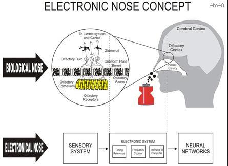 Elektronik burun (e-burun) teknolojisi, sürekli nefes izleme için uygulanmıştır.