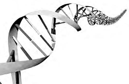 36 Psikolojiye Girifl Resim 2.6 DNA birbirine sar lm fl helezon fleklinde duran karmafl k bir moleküler yap d r. ram de ildir.