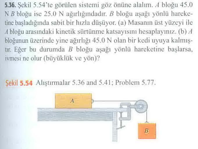 13)* 59 Sears ve Zemansky nin Üniversite