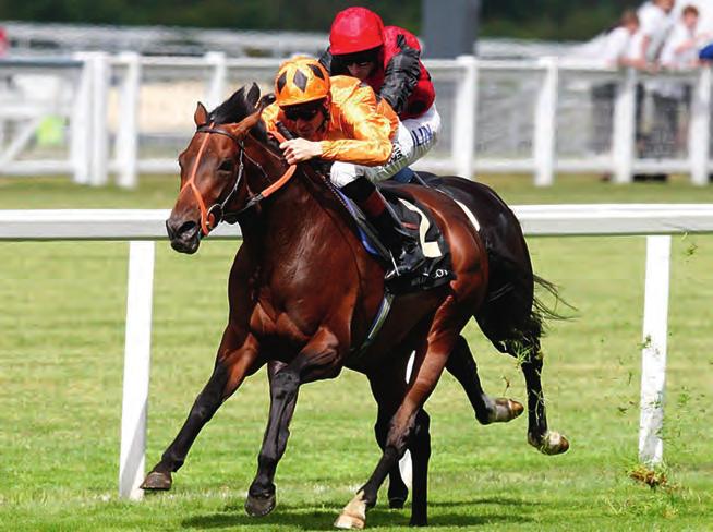 St. James Palace Stakes Galibi Canford Cliffs 22 May s 2010 Tarihinde koflulan rlanda Erkek Tay Deneme Koflusunu rakiplerini sürklase ederek kazanan Canford Cliffs (Tagula - Mrs.