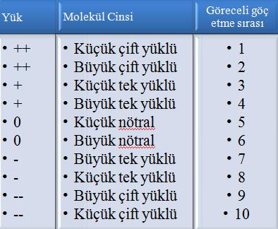 19 Şekil 4.5. Elektroosmotik akış varlığında molekül hızları. (İyonların yanlarında bulunan okun uzunluğu iyon hızının büyüklüğünü, okun yönü ise hareketin yönünü ifade eder.