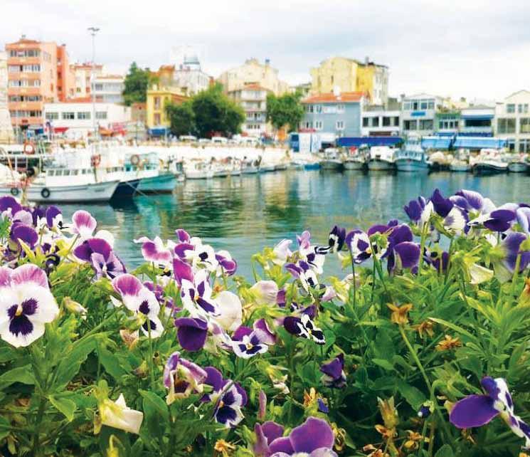 tökezlediğim oluyor, derim.. Ama gözün arkada kalmasın be annecim derim, tökezleyince de bana uzanan eller var O ellere sımsıkı sarılıp, dimdik kalkabiliyorum bak, derim.