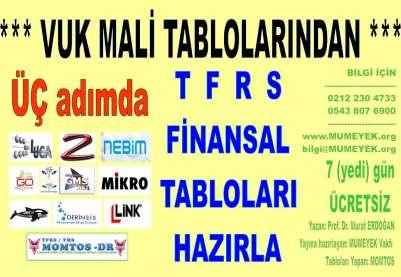 25 dakikada ÜÇ ADIMDA TFRS DENETİM RAPORUNU *** HAZIR VERİLER İLE *** KENDİNİZ HAZIRLAYIN *** MUMEYEK