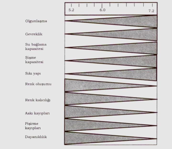 Etin özellikleri