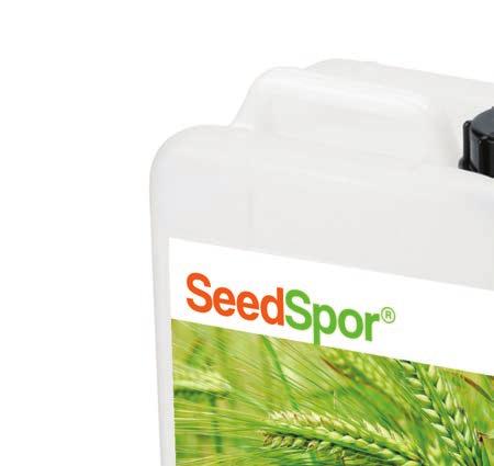 SeedSpor nedir? SeedSpor yararlı mikroorganizmaların dengeli bir karışımından oluşan tamamen doğal tohum tedavisidir.