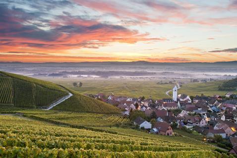 arasında, yavaş yemeğin kalbindeyiz: Barolo, Barbaresco, Bra, Pollenzo Yavaş yavaş yemek, yavaş yavaş