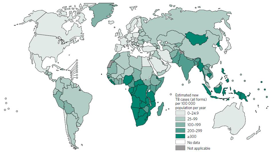 Tahmini TB İnsidans Hızları, 2015 Dünya Sağlık Örgütü 2016. «http://apps.who.
