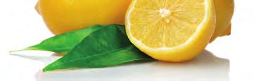 Bitkisel Limonlu Yağ ve Kir Sökücü Oven Soft Mutfaklarda yağ ve isin karışmasıyla