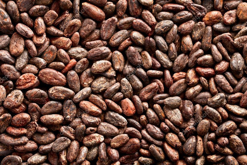 2. KAKAO ÇEKİRDEĞİ Çikolata ve ilgili ürünlerin temel maddesi kakao çekirdeğidir. Kakao çekirdeği, kakao ağacında (Theobrama cacao L.
