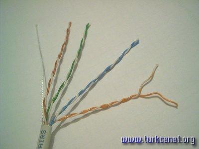 Günümüzde bir çok ağ altta gördüğünüze benzer unshielded twisted pair-kaplamasız dolanmış çift (UTP) kabloyu kullanıyor.