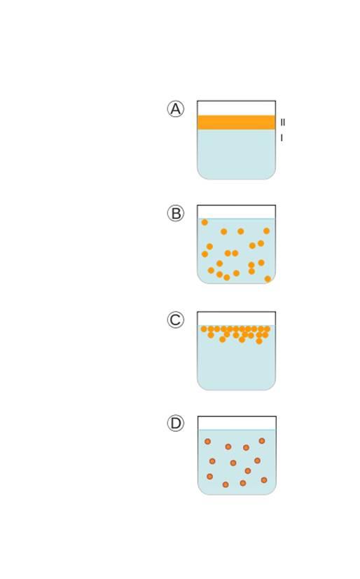 A. İki karışmaz sıvı, daha emülsiyonlaşmadan; B. Faz I içinde dağılmış bir Faz II emülsiyonu; C.