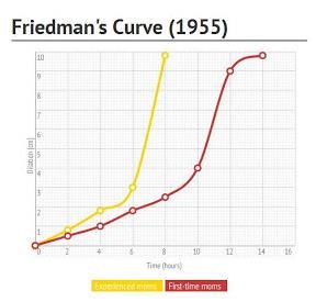Friedman bu eğriyi 1955 kadınlarının doğumlarına göre yapmış ve 4-10cm