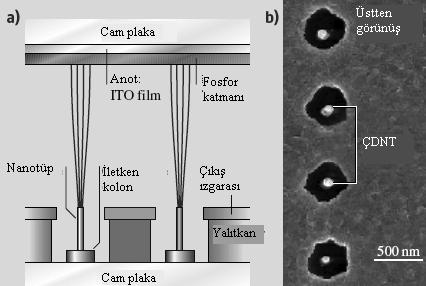 Dünyada ve ülkemizde nanotüpler üzerinde yapılan kimi çalışmalarda ticari uygulamalara dahi geçilmiştir, kimi çalışmalar ise şu an teoride beklemektedir.