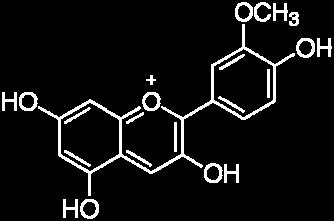 (8-methyltocol) olmak üzere 4 farklı izomeri bulunan bileşiklerdir (Şekil 2.3.