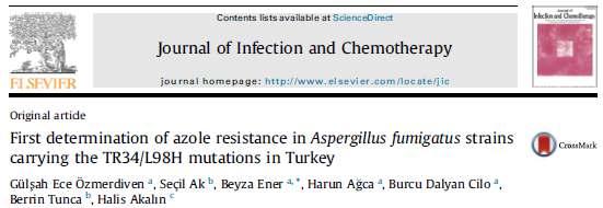 413 vakadan 746 A. fumigatus izolatı (1999-2012) İtrakonazol direnci %10.