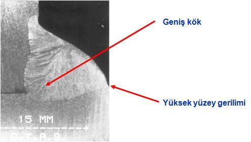 1.2.2 Karbondioksit (CO2 ) Nüfuziyeti genişletir.