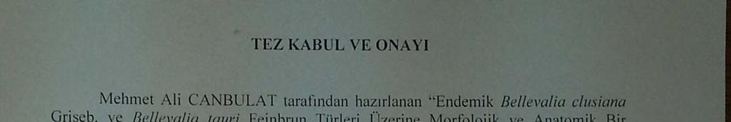 TEZ KABUL VE ONAYI Mehmet Ali CANBULAT tarafından hazırlanan Endemik Bellevalia clusiana Griseb.